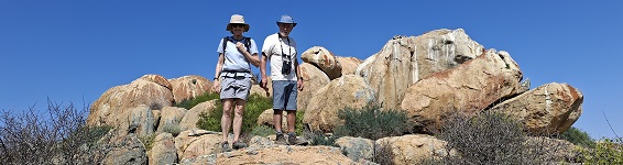 Karoo flora